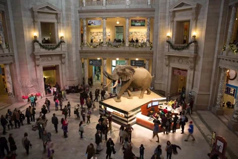 Washington D.C. Timelapse Stock Footage 252861734