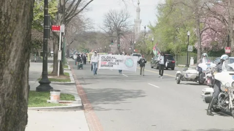 Washington, DC US - 2025, March 26: Pro-Palestinian Protest March Stock Footage 305084334