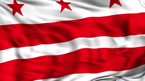 Washington D.C Waving Flag Background Stock Footage 204139720