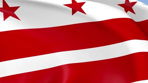 Washington D.C Waving Flag Background Loop Stock Footage 317847322
