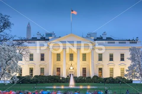 Washington DC White House Stock Photos