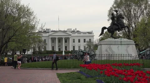 Washington DC White House tourists park flowers 4K Vídeos de archivo 49927770