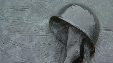 Washington DC World War II Memorial Stock Footage 123851785
