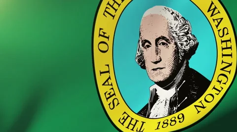 Washington flag waving in the wind. Looping sun rises style.  Animation loop Stock-Footage 48207974