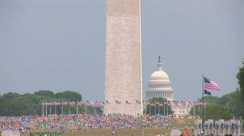 Washington Mall Video stock 80786