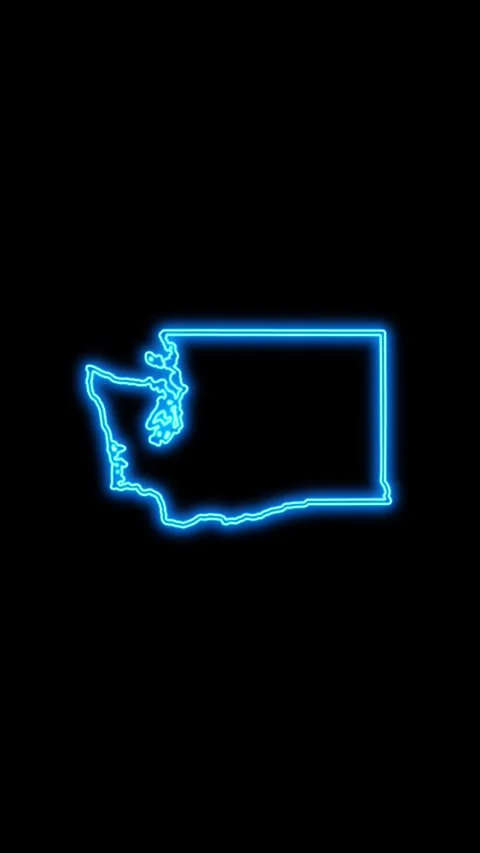 Washington Map Outline Neon Lights Stock Footage 333119136