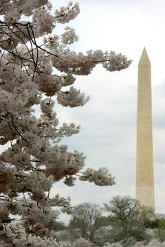 Washington Memorial Stock Photos