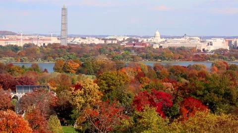 Washington Monument and Capitol Building Stock Footage 59173312