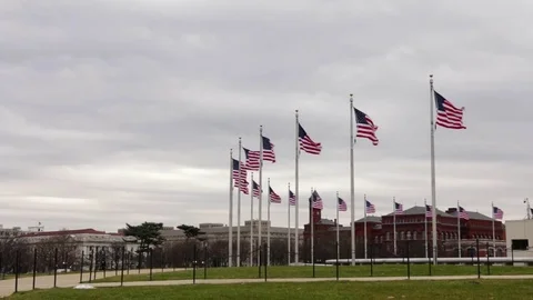 Washington Monument and Mall Flags | Washington D.C. (Winter) Stock Footage 76003694