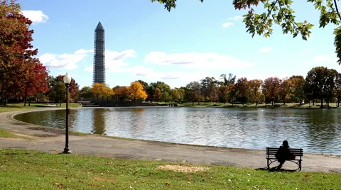 Washington Monument and Tidal Basin in Washington, DC Stock Footage 51470339