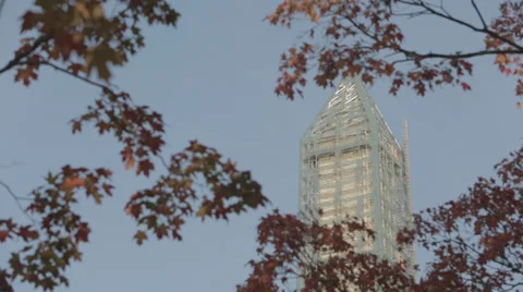 Washington Monument and trees Stock Footage 32254880