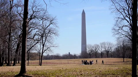 Washington Monument in background Stock Footage 48130501