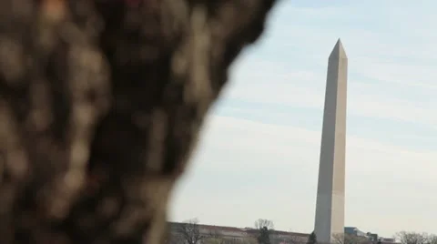 Washington Monument Cherry Blossom DC Tilt Focus Stock Footage 10810679