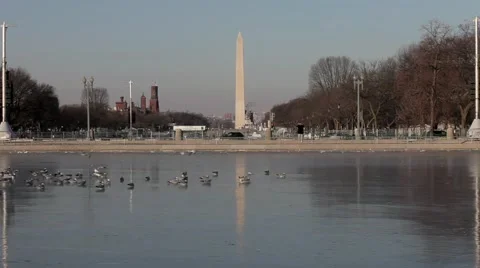 Washington Monument far Vidéo 47419190
