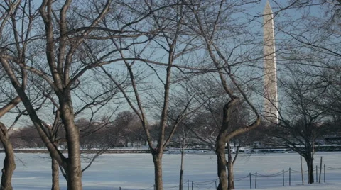 Washington monument with flags Stock Footage 49847876