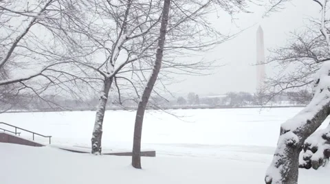Washington monument with flags Stock Footage 49850267