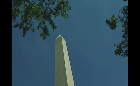 Washington Monument flanked by tree branches Stock Footage 242568468