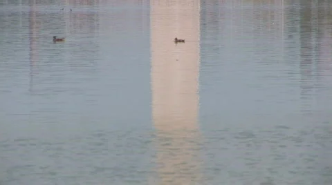 Washington Monument Stock Footage 80789