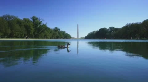 Washington Monument Stock Footage 58406768