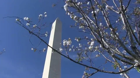 The Washington Monument Stock Footage 69079379