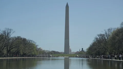 Washington Monument Stock Footage 85816163