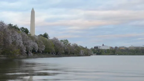 Washington Monument Stockbeeldmateriaal 122556526