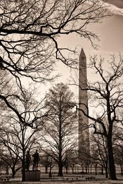 Washington monument Stock Photos