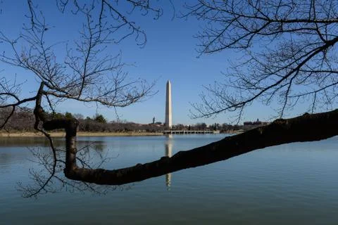 Washington monument Foto stock