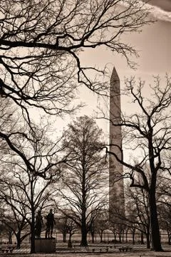 Washington Monument Stock Photos