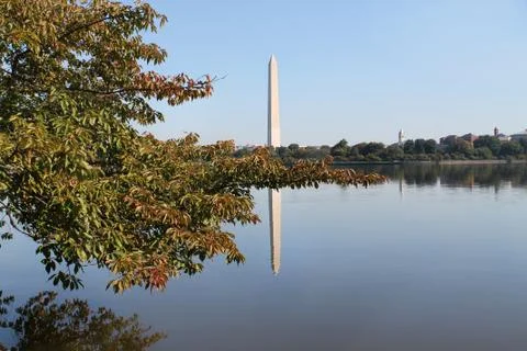 Washington Monument Stock Photos