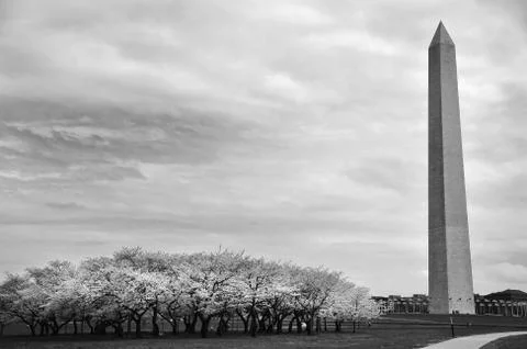 Washington Monument. Stock Photos