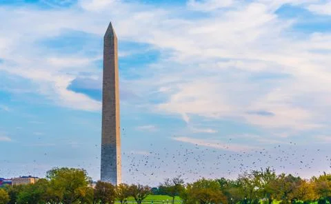 Washington Monument Stock Photos