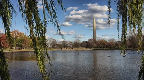 Washington Monument Scenic View Stock Footage 57463308