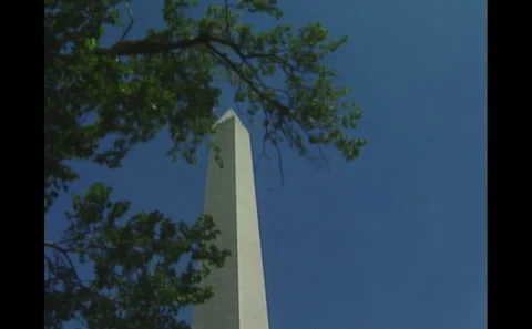Washington Monument seen behind tree branches Video stock 242499069