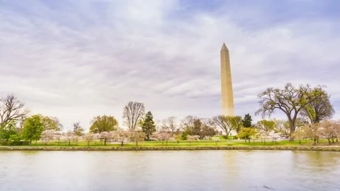 Washington monument in springtime Vídeo Stock 103865802