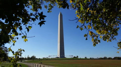 Washington Monument In Sunlight Beyond Trees Stock Footage 954680