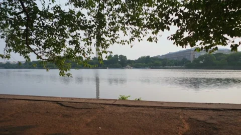 Washington Monument through trees Stock Footage 157548918