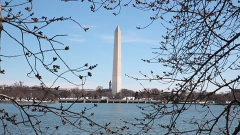 The Washington Monument through trees in winter Stock Footage 133771086