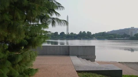 Washington Monument- Tracking through trees Stock Footage 157548926