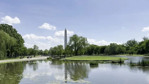 Washington Monument viewed from a tranquil pond Video stock 328879326