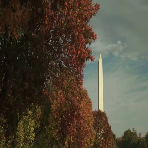 Washington Monument in Washington DC Stock Footage 69301636