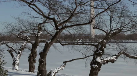 Washington monument winter Stock Footage 49829398
