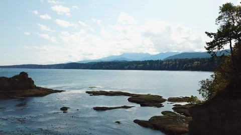 Washington Olympic Peninsula Coastline Stock Footage 128406850