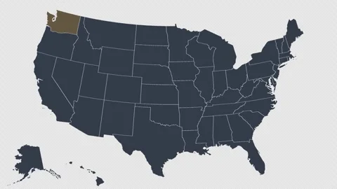 Washington Pulsing on US Election Map Animation Seamless Loop Alpha Channel 4K Video stock 341308191