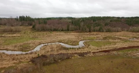 Washington river in open field Stock Footage 169891145