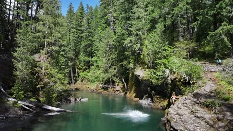 Washington RiverJumper Stock Footage 278281736