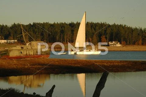 Washington san juan islands lopez island bay Stock Photos