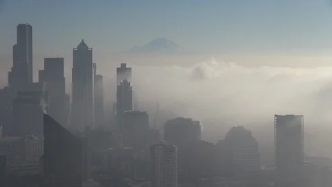 Washington Seattle view with Mount Rainier 動画素材 98211762