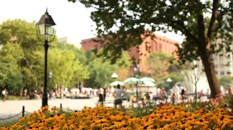 Washington Square Park Stock Footage 68642587