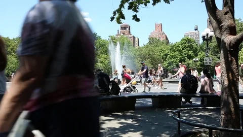 Washington Square Park Stock Footage 78991995